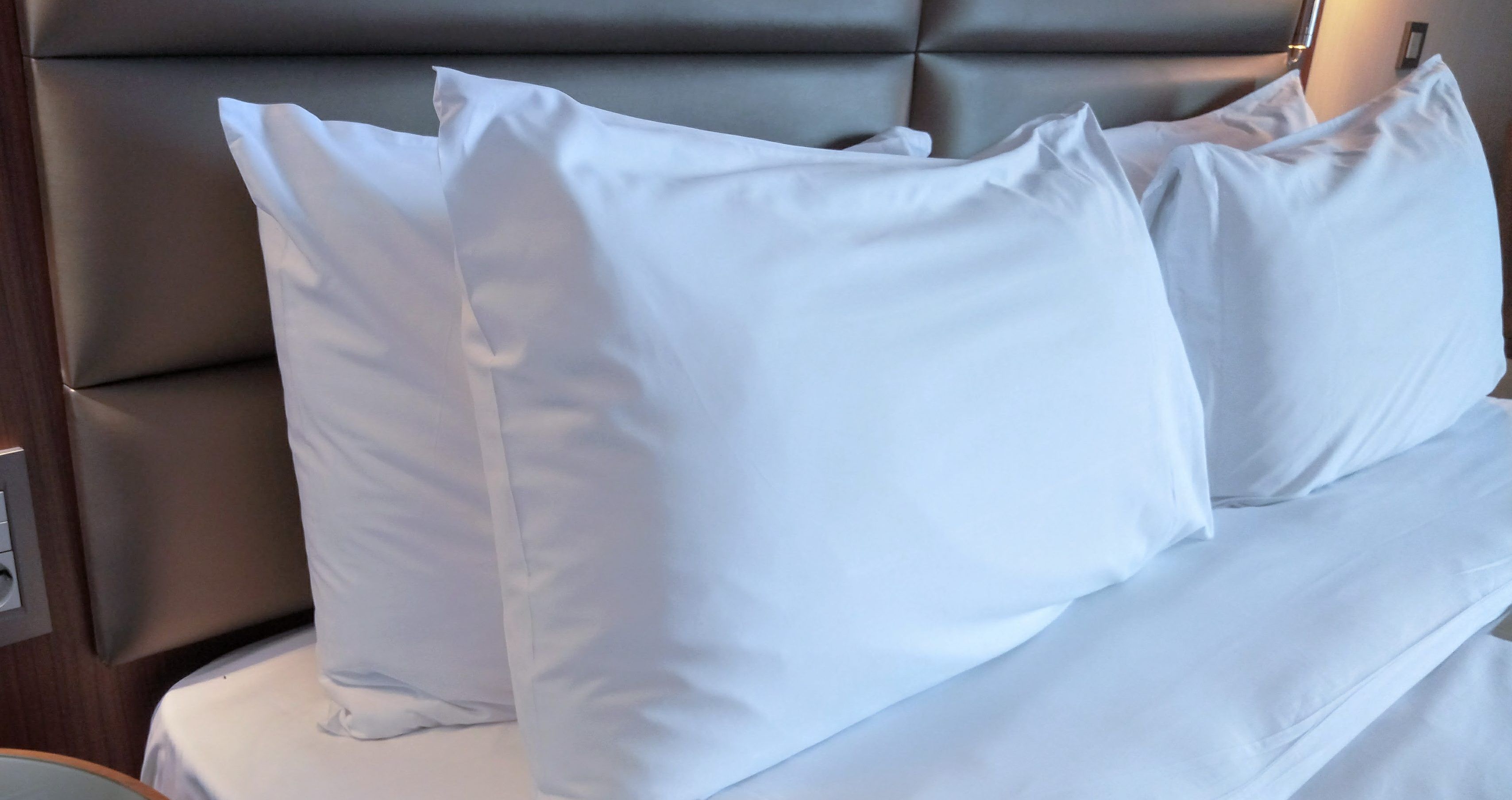 Best Pillows For Neck Pain 2020 — ReviewThis