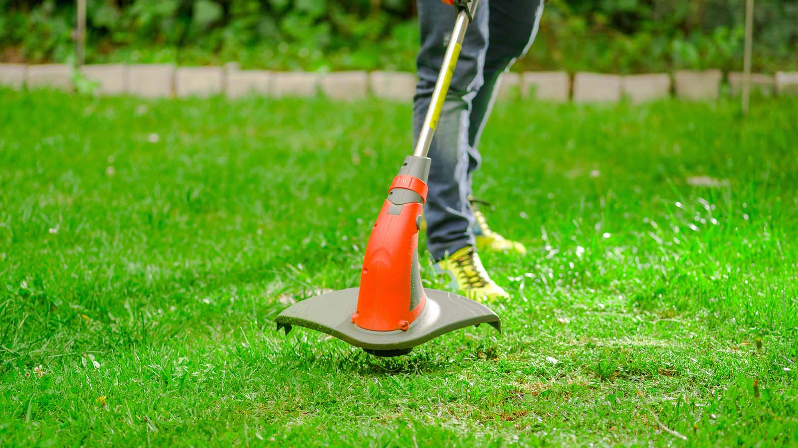 Weed Eaters: How To Use To Easily Clean Up Yards 