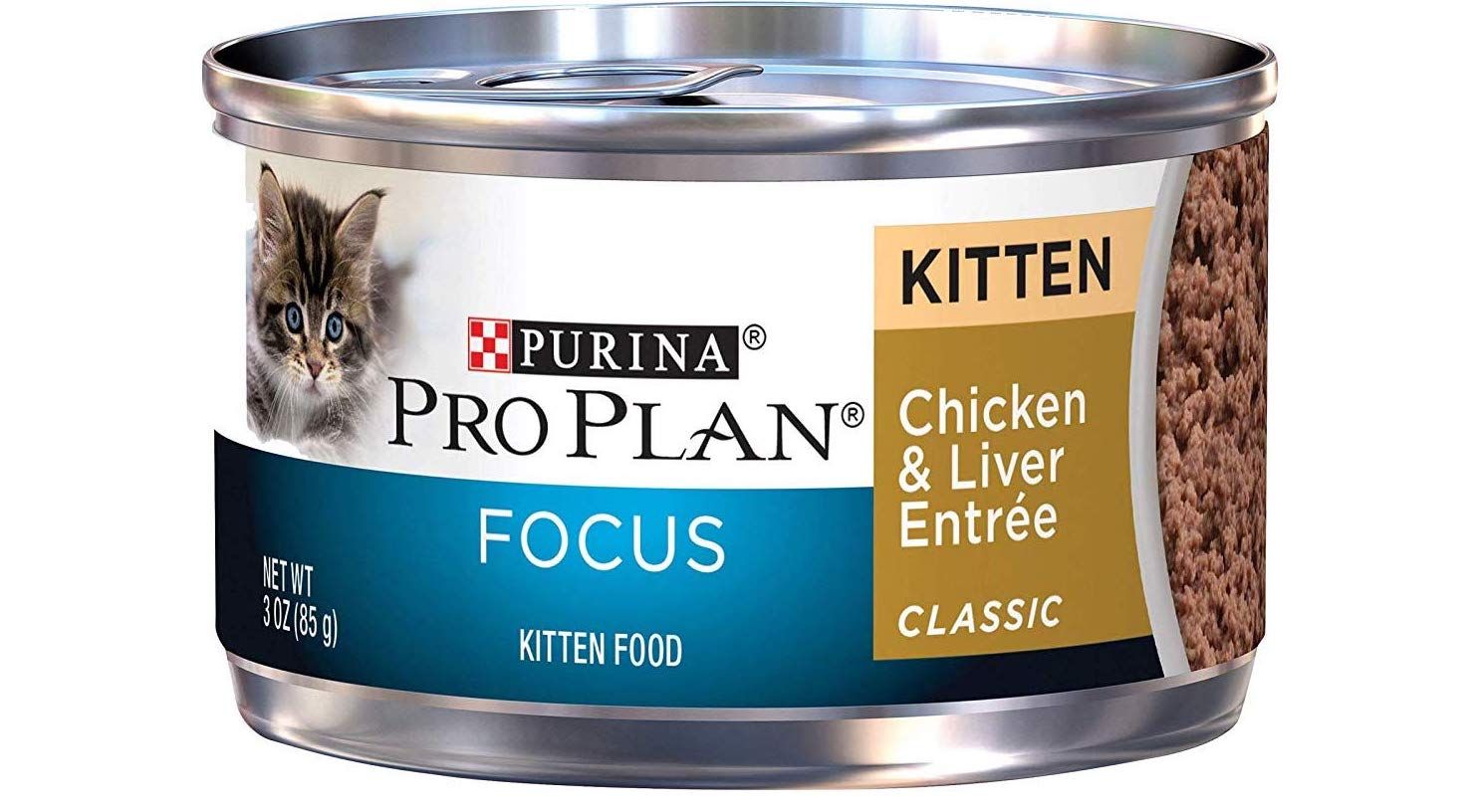 The Best Kitten Foods of 2020 — ReviewThis